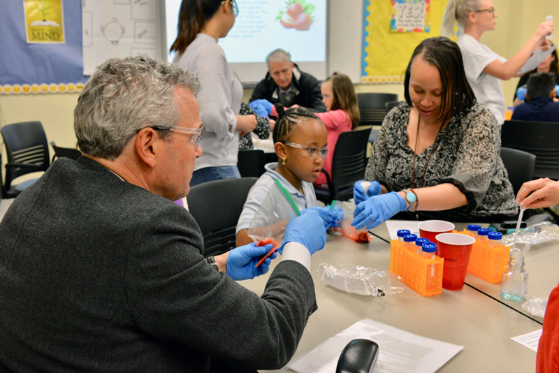 AstraZeneca’s Ruud Dobber extracts DNA from strawberries with a family at the Delaware Biotechnology Institute’s Family STEAM Night.
