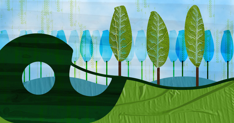 Engineers at the University of Delaware have developed a novel process to make tape out of a major component of trees and plants called lignin.