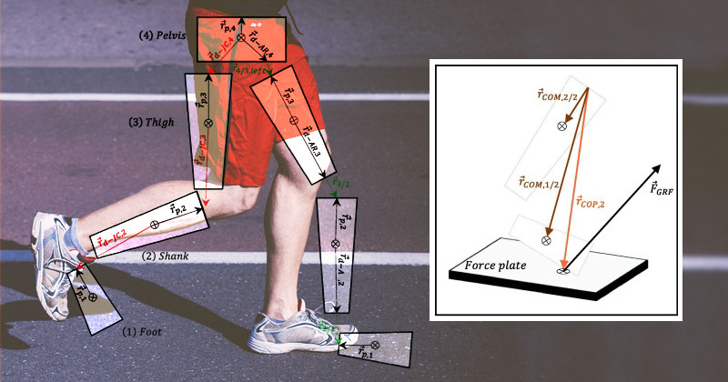 UD engineers are working to improve understanding of human movement.