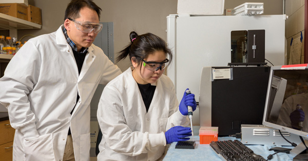 Wilfred Chen (left) and Rebecca P. Chen are developing new biomolecular tools to address key global health problems.