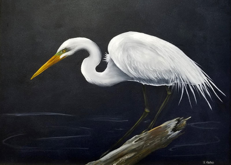 Great Egret, an oil painting by OLLI artist Barbara Estep, which will be on display at the exhibit.