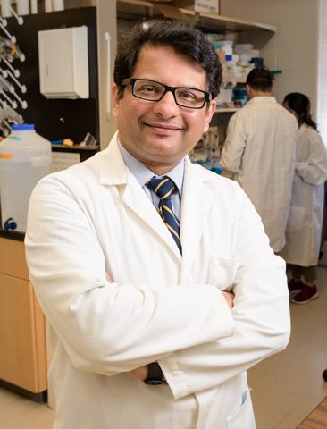 Photos of Salil Lachke, associate professor of Biological Sciences, along with his research group in their Wolf Hall lab. - (Evan Krape / University of Delaware)