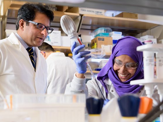 Photos of Salil Lachke, associate professor of Biological Sciences, along with his research group in their Wolf Hall lab. - (Evan Krape / University of Delaware)