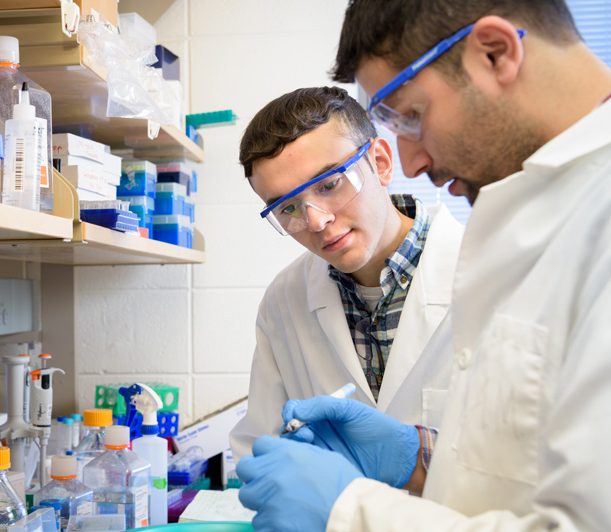 Grad students in Salil Lachke's Biological Sciences research group, training and working with undergraduate members of the team in their Wolf Hall lab. From left (grad student unless otherwise noted): Francisco (Frankie) Hernańdez (undergrad), Sandeep Aryal - (Evan Krape / University of Delaware)