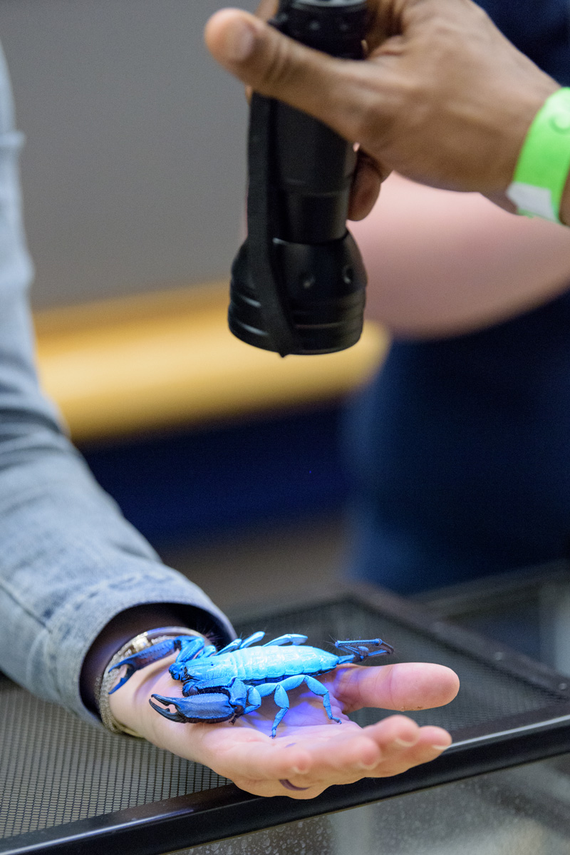 Students from area middle schools get a taste of science at UD during 