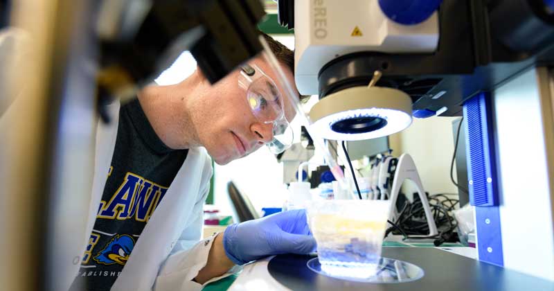 BMEG-Sexton-Gleghorn_Lab-051018 BMEG-Sexton-Gleghorn_Lab-051018