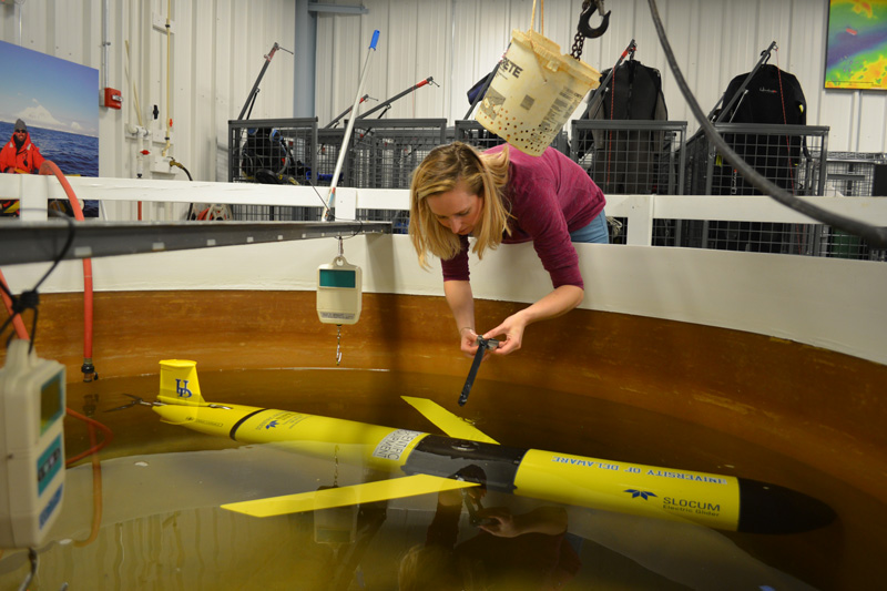 UD’s Danielle Haulsee prepares an underwater glider for work in the White Shark Café, an area of the Pacific Ocean situated halfway between the Hawaiian Islands and Southern California.