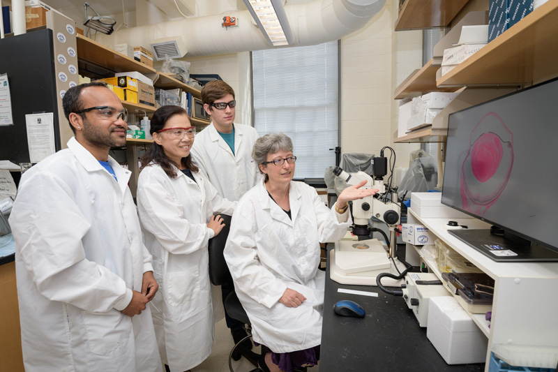 Melinda Duncan, professor of Biological Science, with her research team in their Wolf Hall lab. Their work focuses on the vertebrate lens and the pathogenesis of cataracts. - (Evan Krape / University of Delaware)