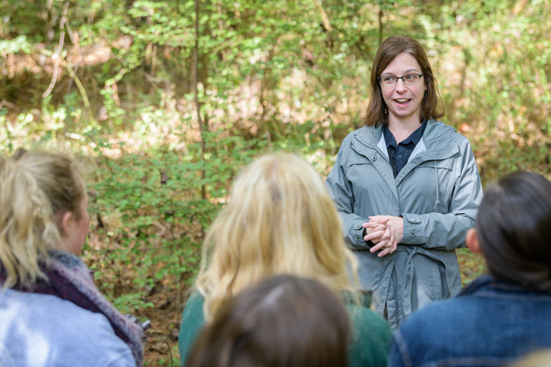 McKay Jenkins's ENGL230 "Introduction to Environmental Literature" class heads outdoors to White Clay Creek State Park to participate in invasive plant eradication. - (Evan Krape / University of Delaware)