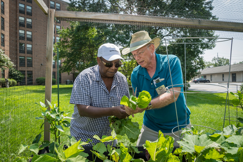 Residents of the Main Towers apartments start up a community garden with the help of CANR’s Master Gardener Rick Judd, Wednesday, August 15th, 2018. 