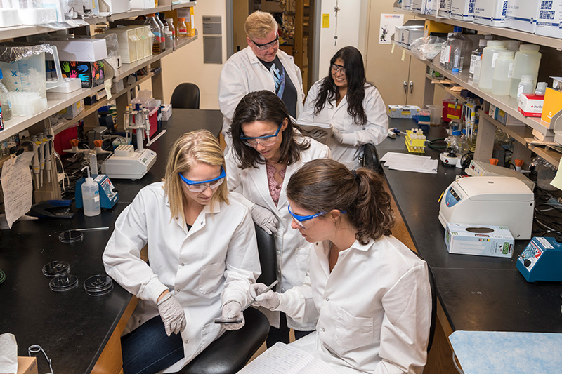 Among the doctoral students who work in the microbiology lab of Ramona Neunuebel (center) are (left to right): Rebecca Noll, Samual Allgood, Barbara Romero-Dueñas and Colleen Pike.