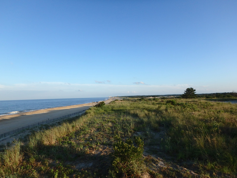 A view of the coast near Lewes, Delaware. 