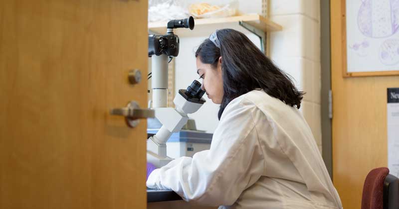 CHEM-Dutt-Glioblastoma_Research-021218 CHEM-Dutt-Glioblastoma_Research-021218