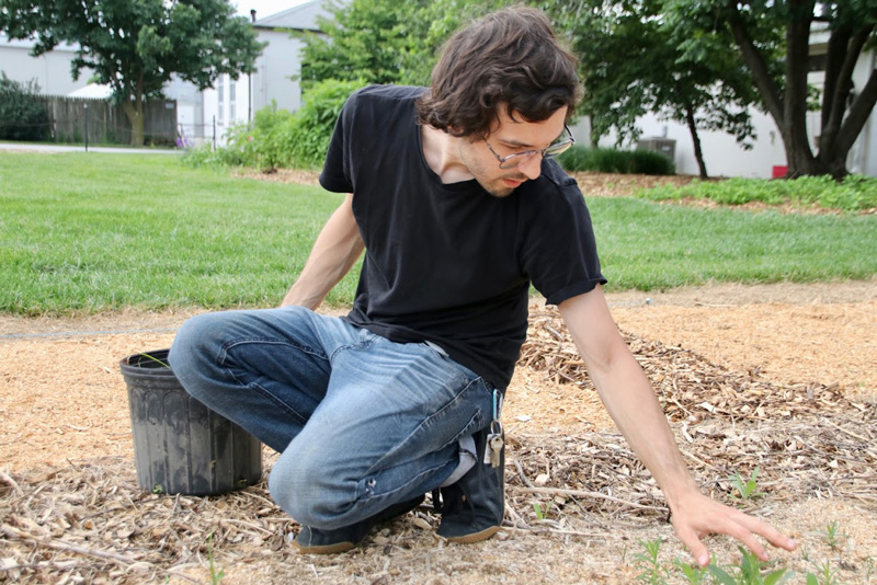 UD graduate student John Kaszan works on a plot of ground to help area golf courses superintendents choose the native plants they use on areas that are out of play or naturalized.