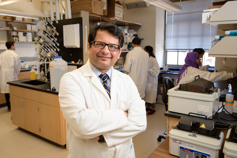 Photos of Salil Lachke, associate professor of Biological Sciences, along with his research group in their Wolf Hall lab. - (Evan Krape / University of Delaware)