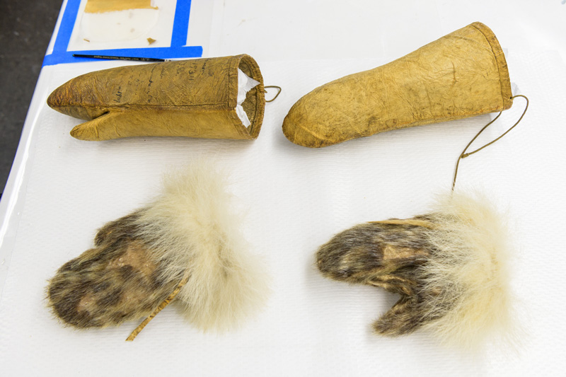 Caitlin Richeson, a graduate student in the Winterthur / University of Delaware Program in Art Conservation program, working to conserve the mittens worn by Matthew Henson during the 1908–09 expedition to the geographic North Pole with Robert Peary. Henson, who served as navigator, craftsman, and was known as Peary's "first man" on the expeditions, was also the first African-American Arctic explorer. - (Evan Krape / University of Delaware)