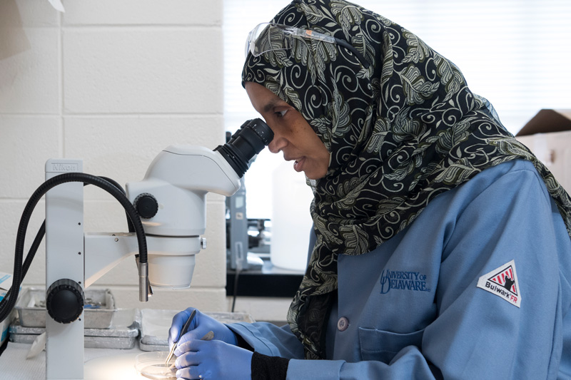 Graduate and undergraduate mentoring in Dr. Salil Lachke’s lab in Wolf Hall. Graduate student Salma Al Saai works on a microscope examining a sample. 