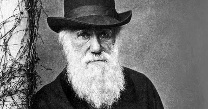 Charles Darwin 