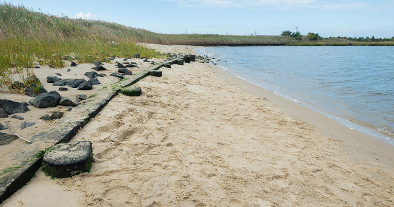 Freshman from the College of Earth, Ocean, and Environment (CEOE) get some field experience in Lewes, DE with a marsh walk, seining, and catch-and-release trawling in the bay on the newly-dedicated R/V Joanne Daiber.