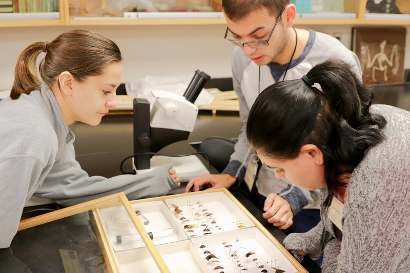 2018-12-14 | CANR_ENWC_Medical-Entomology-Exam_Ashley-Kennedy_Tallamy Students in medical entomolgy work on their final exam which involved responding to an outbreak. Photos by Lauren Bradford