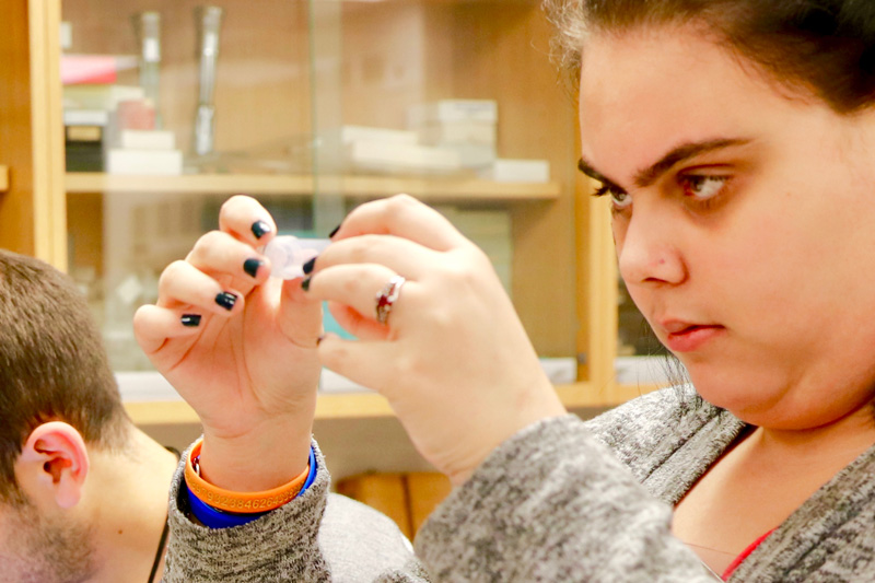 Students in medical entomolgy work on their final exam which involved responding to an outbreak. Photos by Lauren Bradford