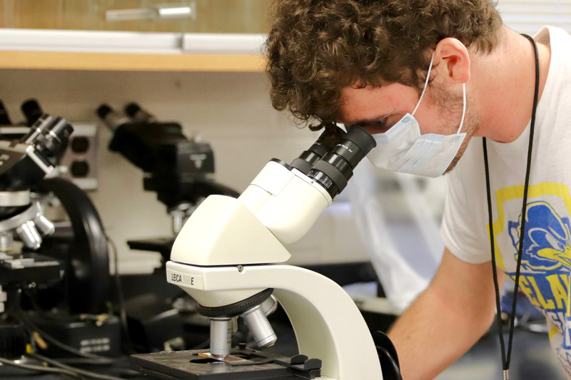 Students in medical entomolgy work on their final exam which involved responding to an outbreak. Photos by Lauren Bradford