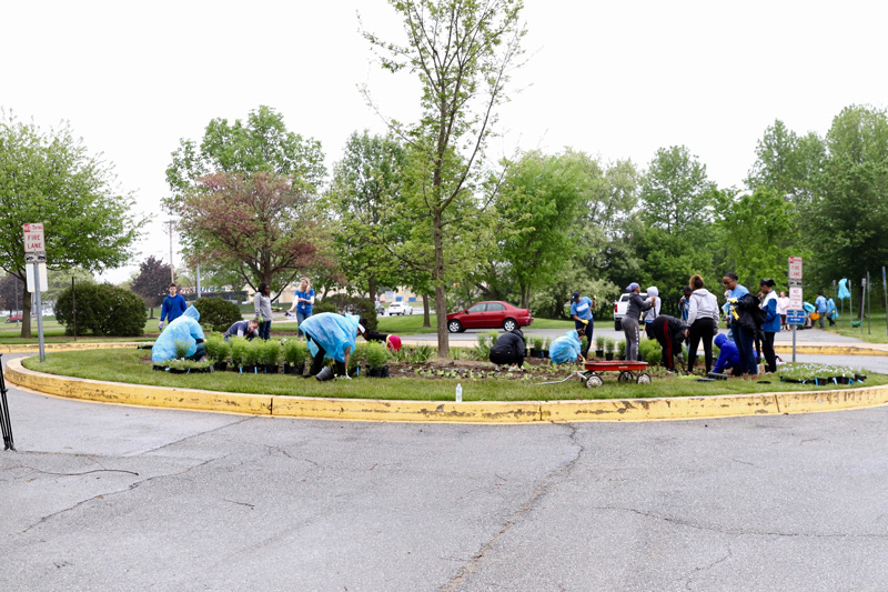 2019-05-04 | CANR_Extension_Edible-Food-Forest The student-designed edible forest garden, also known as a "food forest," is located on the Children's Campus at the University of Delaware where it will provide outdoor educational opportunities and lessons on sustainable food systems for children in preschool through eighth grade. On Saturday, May 4, 2019, student and community groups came together to plant various edible species on sites throughout the campus. The garden will be tended by summer interns who will also work to develop nature-based curriculum to be used in the garden to encourage scientific observation and discovery.
Interns -
Jenna Simons, senior, CEOE
Eduardo Limon-Cortez, first year, CANR