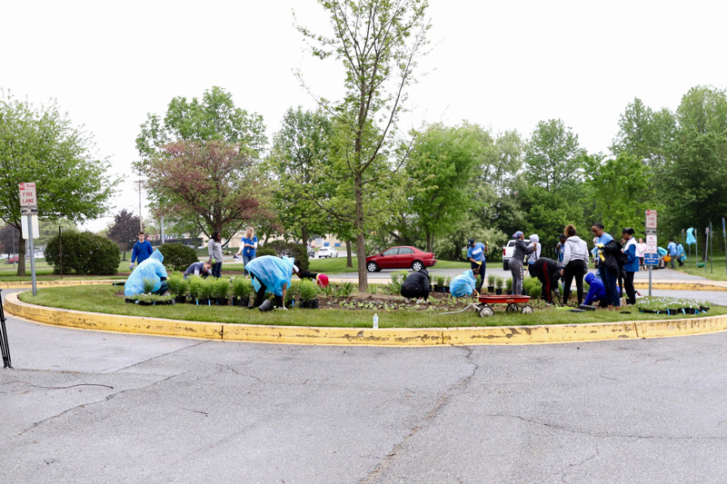 The student-designed edible forest garden, also known as a "food forest," is located on the Children's Campus at the University of Delaware where it will provide outdoor educational opportunities and lessons on sustainable food systems for children in preschool through eighth grade. On Saturday, May 4, 2019, student and community groups came together to plant various edible species on sites throughout the campus.  The garden will be tended by summer interns who will also work to develop nature-based curriculum to be used in the garden to encourage scientific observation and discovery.

Interns - 
Jenna Simons, senior, CEOE
Eduardo Limon-Cortez, first year, CANR