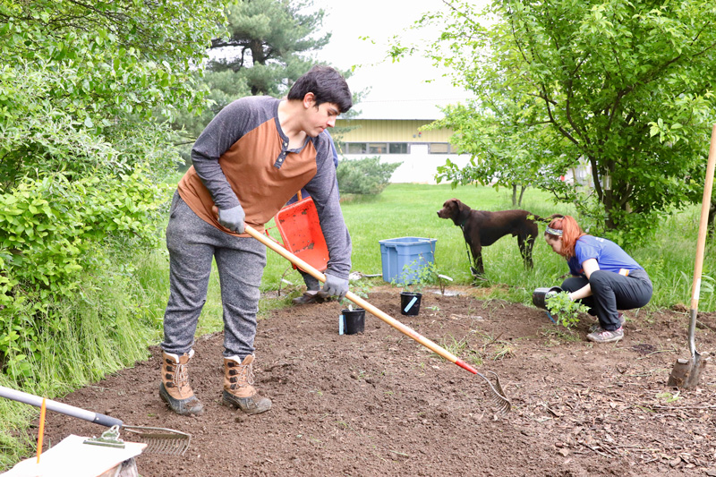 2019-05-04 | CANR_Extension_Edible-Food-Forest The student-designed edible forest garden, also known as a "food forest," is located on the Children's Campus at the University of Delaware where it will provide outdoor educational opportunities and lessons on sustainable food systems for children in preschool through eighth grade. On Saturday, May 4, 2019, student and community groups came together to plant various edible species on sites throughout the campus. The garden will be tended by summer interns who will also work to develop nature-based curriculum to be used in the garden to encourage scientific observation and discovery.
Interns -
Jenna Simons, senior, CEOE
Eduardo Limon-Cortez, first year, CANR