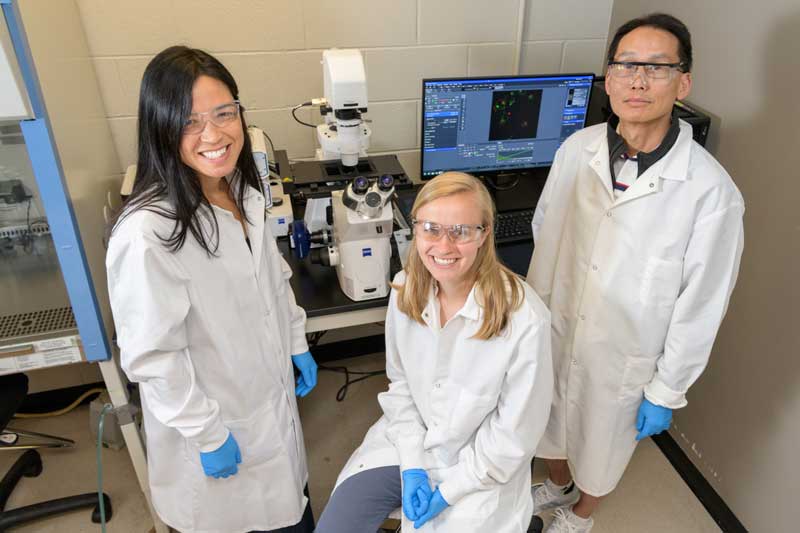 COE-CHEM-Lieser_Chen_Sullivan-062119 COE-CHEM-Lieser_Chen_Sullivan-062119