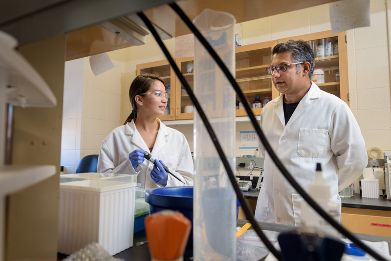 Various photos of Biological Sciences students taking classes, working in labs, and meeting on the steps of Wolf Hall. - (Photographic Services / University of Delaware)