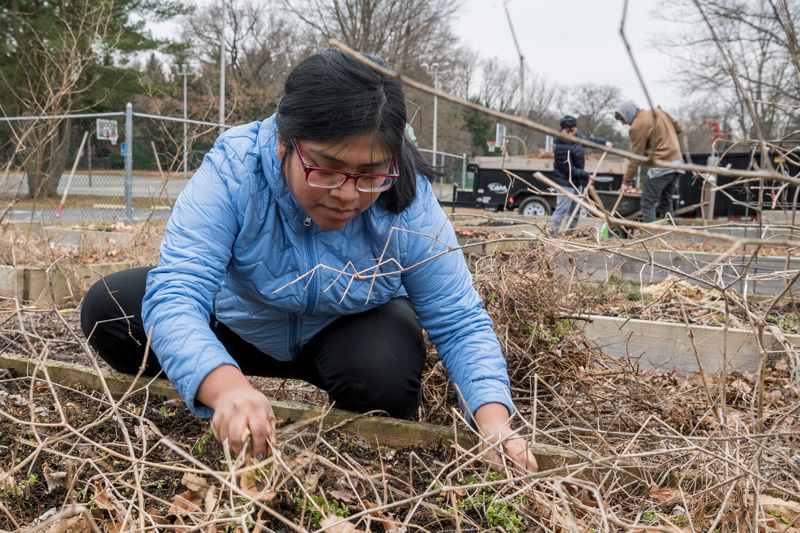 Student participate in the MLK Day of Service by cleaning up vegetable beds in Fairfield Park in Newark, DE on February 23, 2019. 
1. Iris Perez - blue bright puffer jacket/ brown boots (interviewed her)
2. Mahit Vaddadi - Green jacket, red hood poking out, brown shoes
3. Jose Lanzona - Indian, sunglasses, dark blue jacket 
4. Andrew Malone- Tan jacket, white (students 2,3,4 pictured together)
5. James Leonard (Jack) - Grey Delaware hoodie, grey sneakers
6. Addison Hughes - Grey Jacket, black, afro
7. Jennifer Vorn - Black columbia jacket, grey hoodie underneath, asian
8. Joie Tang - dark blue columbia jacket, glasses, asian (students 7 and 8 pictured together.) 
(Model Releases were obtained on all students.)