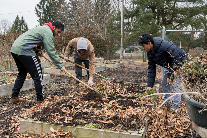 Student participate in the MLK Day of Service by cleaning up vegetable beds in Fairfield Park in Newark, DE on February 23, 2019. 
1. Iris Perez - blue bright puffer jacket/ brown boots (interviewed her)
2. Mahit Vaddadi - Green jacket, red hood poking out, brown shoes
3. Jose Lanzona - Indian, sunglasses, dark blue jacket 
4. Andrew Malone- Tan jacket, white (students 2,3,4 pictured together)
5. James Leonard (Jack) - Grey Delaware hoodie, grey sneakers
6. Addison Hughes - Grey Jacket, black, afro
7. Jennifer Vorn - Black columbia jacket, grey hoodie underneath, asian
8. Joie Tang - dark blue columbia jacket, glasses, asian (students 7 and 8 pictured together.) 
(Model Releases were obtained on all students.)