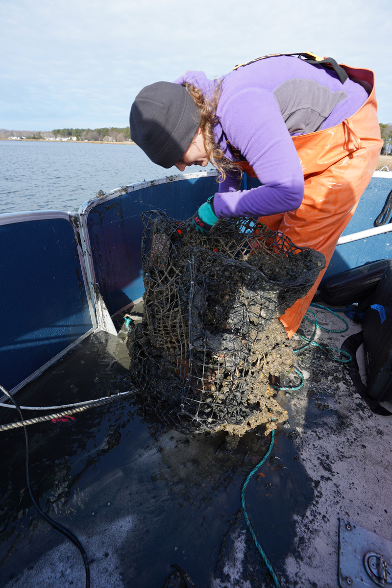 Kate Fleming (DESG), Art Trembanis (CEOE), Grant Otto (CEOE student) and Vince Capone (Black Laser Learning) search for ghost, or abandoned, crab pots in the Delaware Inland Bays aboard the R/V Dogfish 