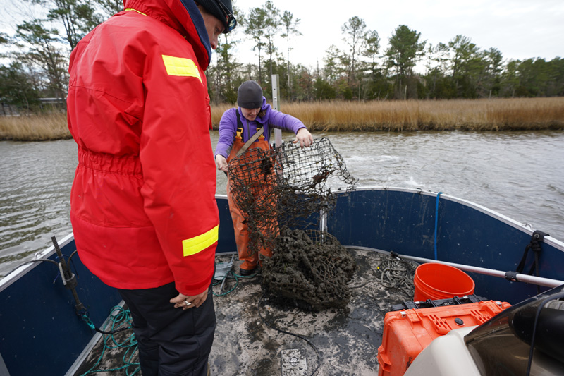 Kate Fleming (DESG), Art Trembanis (CEOE), Grant Otto (CEOE student) and Vince Capone (Black Laser Learning) search for ghost, or abandoned, crab pots in the Delaware Inland Bays aboard the R/V Dogfish