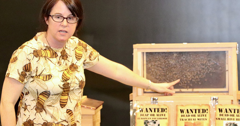 CANR. had a presence at the Food Bank's Hunger Conference. Setting up stations for the children to learn about nutrition, conservation, gardening, insects, and food insecurity.