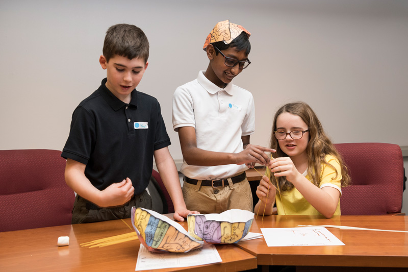 5th grade students from the Independence School participate in an outreach STEM program studying brain science and learning how their brains work.  (UD minor releases were collected.)