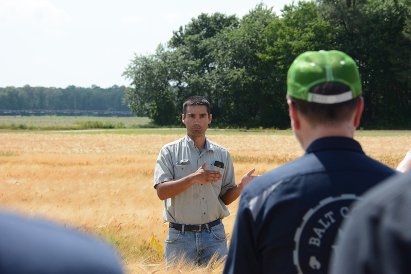 Proximity Malt - Barley Tour Barley Farm Tour - Proximity Malt