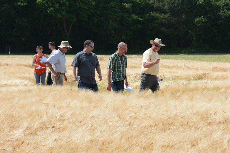 Barley Variety Trials Tour Barley Variety Trials Tour
