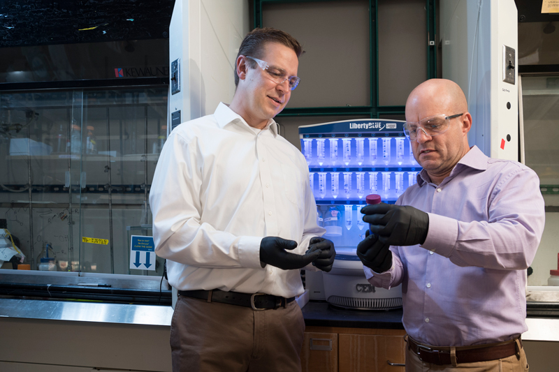 Drs. Chris Kloxin and Darrin Pochan work with customizable polymer chains by linking together new building blocks called bundlemers in their lab in Colburn lab. 