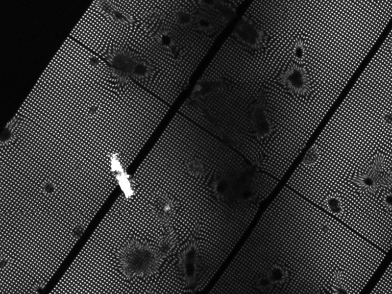 ImageJ=1.51d
unit=\u00B5m