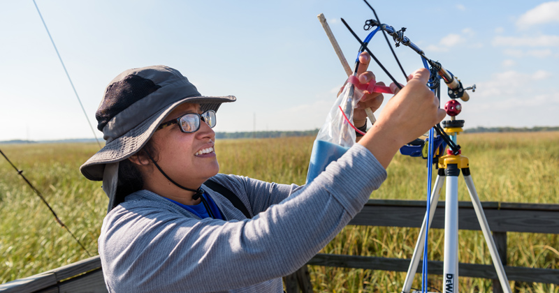 Rodrigo Vargas (blue patterned shirt), associate professor of plant and soil sciences, along with his graduate students Alma Vazquez Lule (gray striped shirt), César Hinojo-Hinojo (dark gray tee w/ jeans), Branimir Trifunovic (white, long-sleeve shirt), and visiting student Josep Barba conducting research in the forest and marsh of the St. Jones Reserve in Dover, DE. - (Evan Krape / University of Delaware)