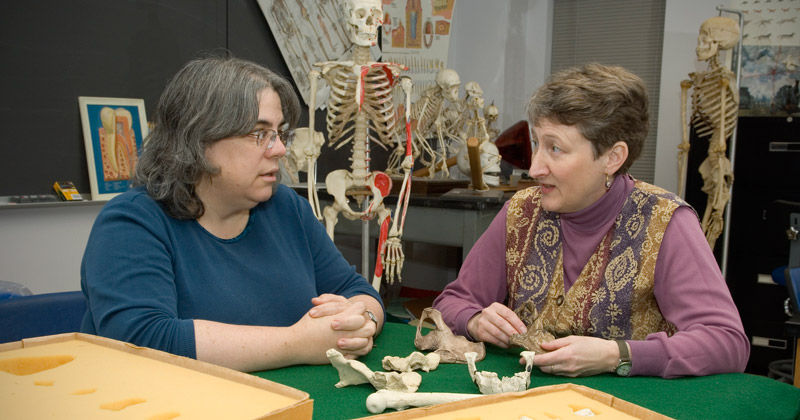 Vicki Cassman & Karen Rosenberg