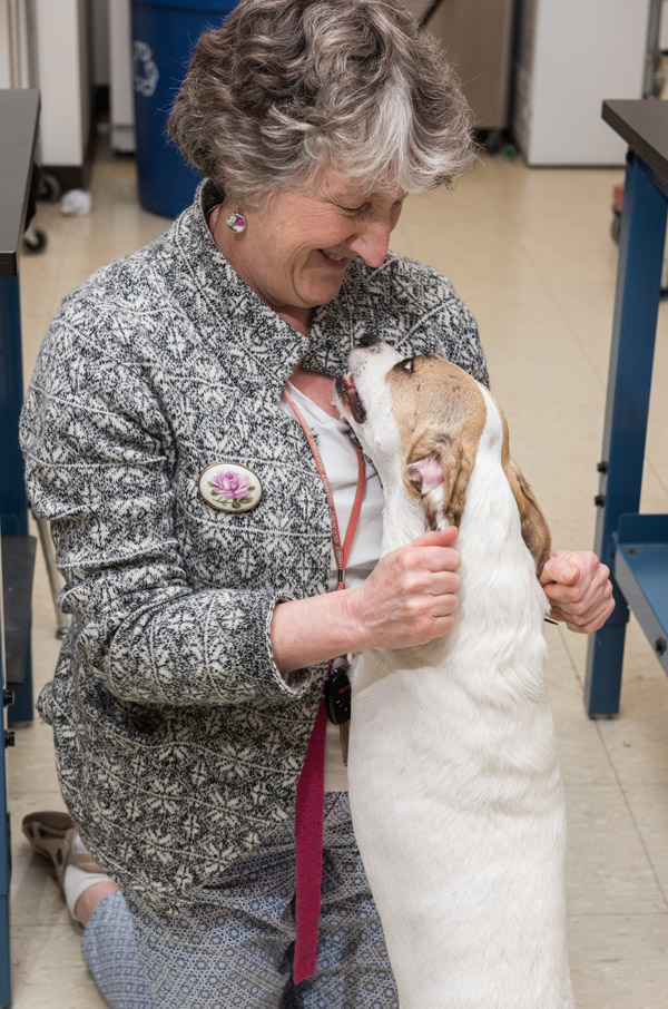 Bretta Fylstra - Prosthetic Dog Leg