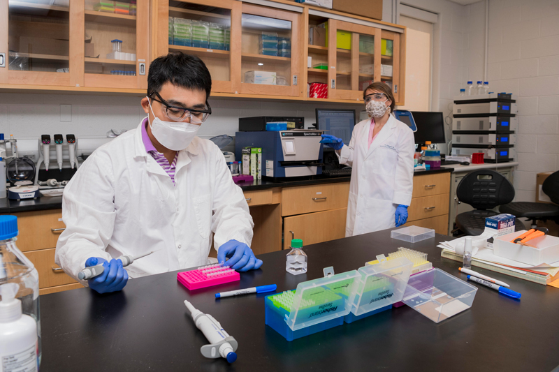 Mersady Redding along with Professor Jae Kyeom Kim work on research that works with dietary prevention and the treatment of chronic diseases.  (Redding is working on a Spectrophotometer to quantify RNA while Dr. Kim prepares samples.)