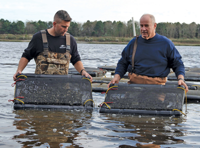 Delaware Sea Grant Staff with oysters in Bay