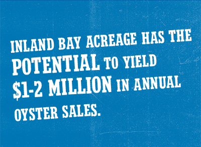 Inland Bay acreage has the potential to yield $1-2 million in annual oyster sales