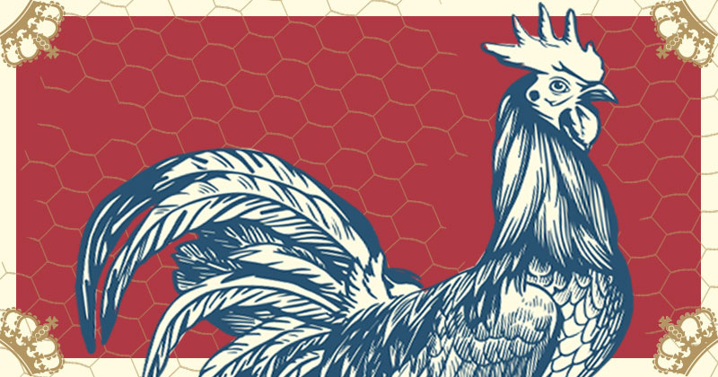 Illustration of a Blue Hen with a chicken wire backgroun