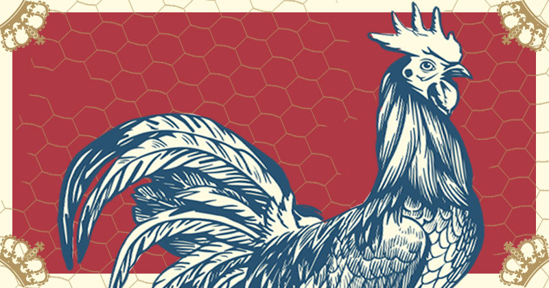 Blue hen on chicken wire background Illustration of a Blue Hen with a chicken wire backgroun