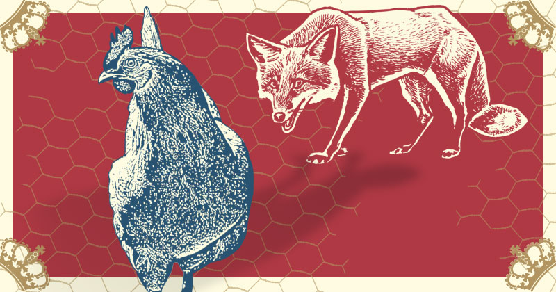 Illustration of a Blue Hen with a Fox lurking in the shadows